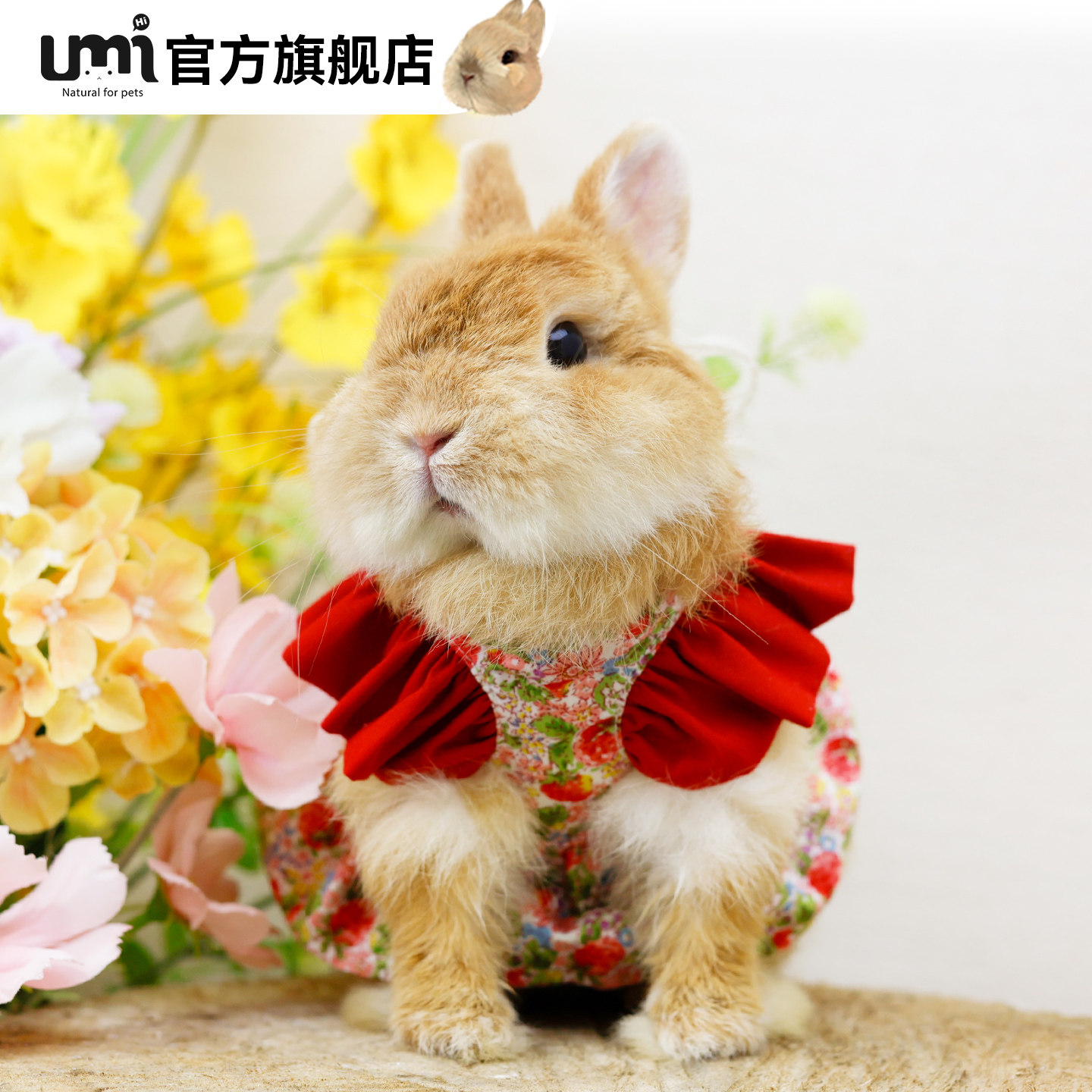 umi宠物兔兔碎花裙小宠公主裙外出游玩百搭潮流可爱服饰可牵引绳,宠物/宠物食品及用品,兔兔其他,淘宝优惠券,粉丝福利购,淘宝优惠卷