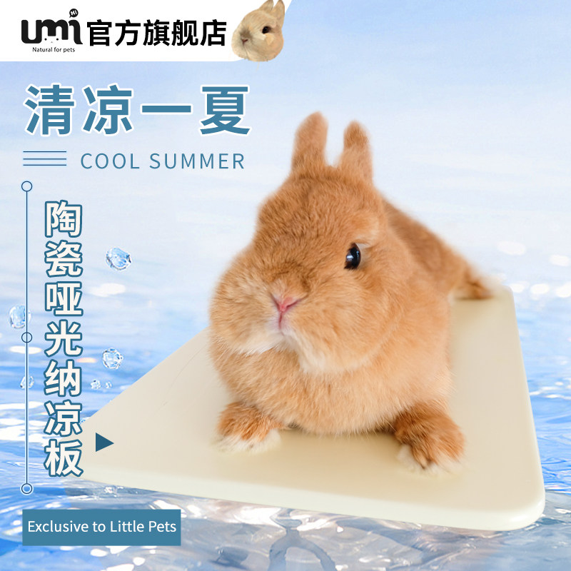 兔子陶瓷降温板宠物散热板仓鼠降温用品夏季避暑凉席冰屋趴趴冰垫