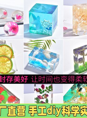 干花巴西小星花集合满天星白晶菊矢车菊情人草标本M19