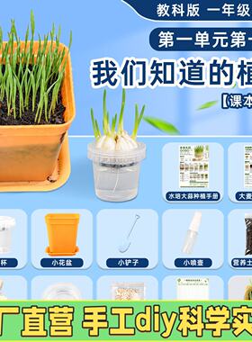 教科版一年级上册小学生科学实验套装大麦水培大蒜我们知道的R50