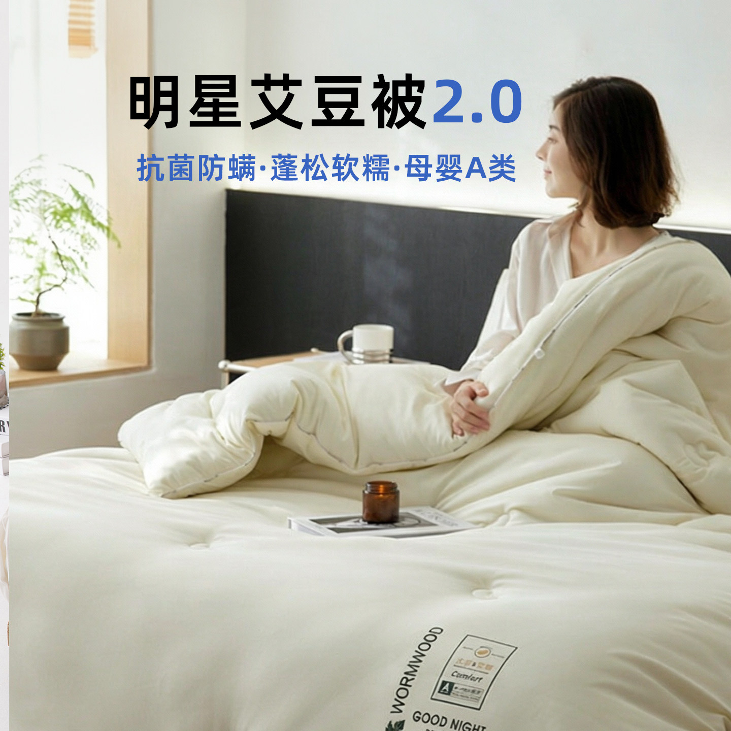 顶柔明星艾豆被加厚保暖被芯
