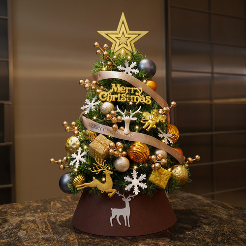 圣诞树新款家用桌面小型迷你爆款金手工diy摆件ins仿真带灯挂饰