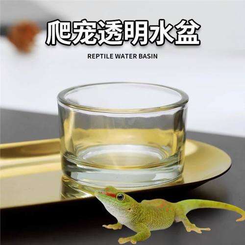 爬虫玻璃水盆透明食盆宠物造景水