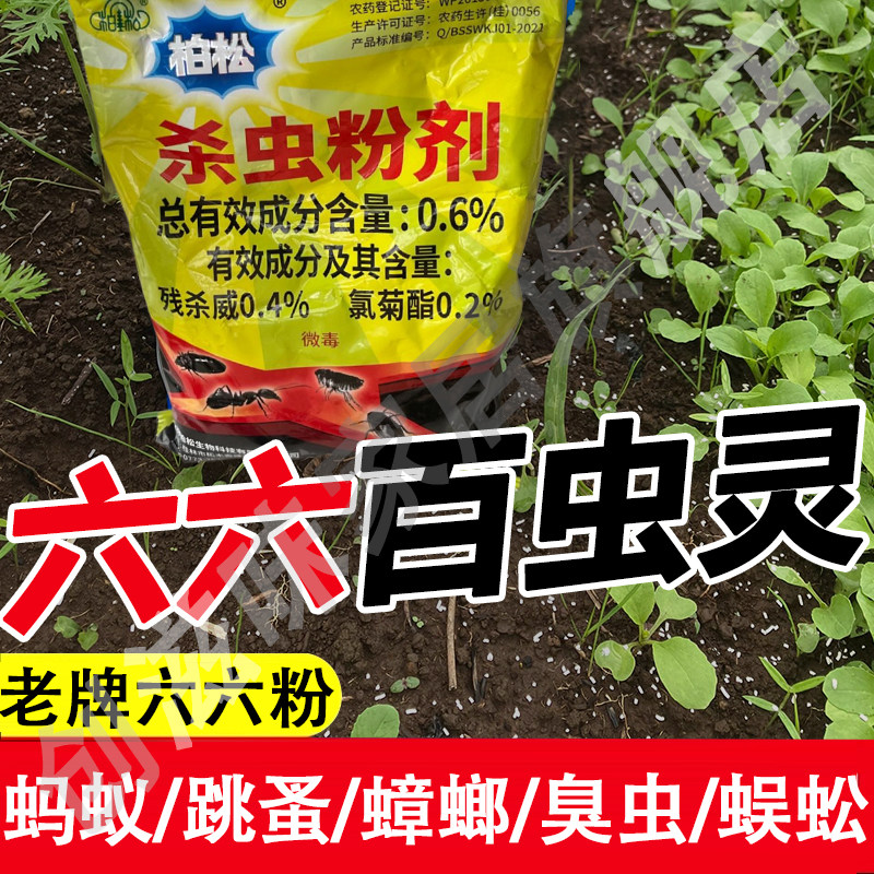 柏松六六老式老牌子家用绿66杀虫粉农药杀虫剂大全跳蚤药杀虫粉xm