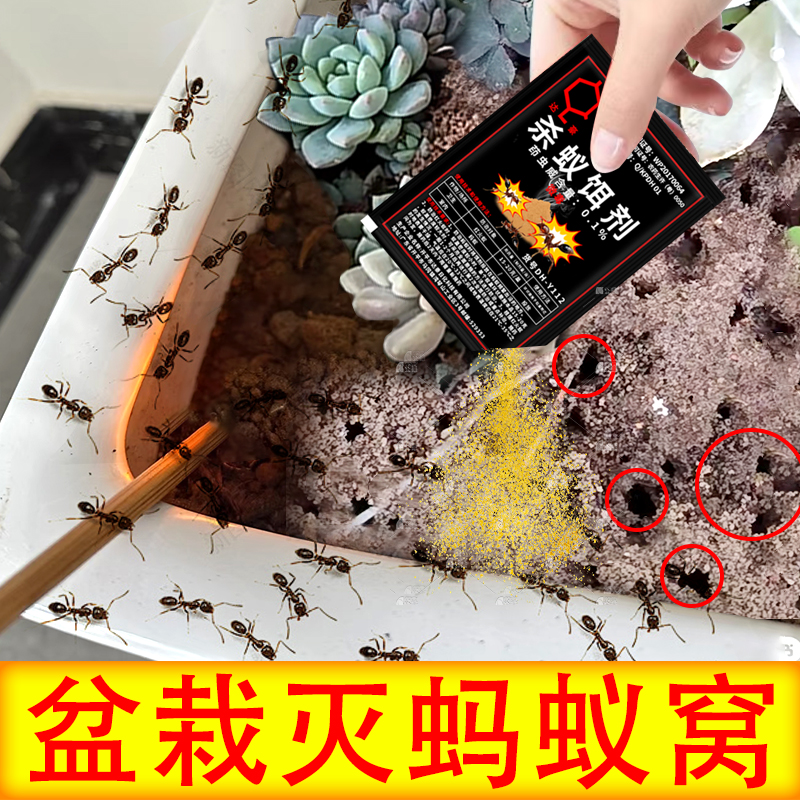 杀蚂蚁药室内无盆栽毒家用全窝端