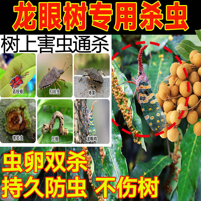 龙眼树杀虫药果树专用药地特上地下害虫菜地臭屁虫蚜虫效剂药xf