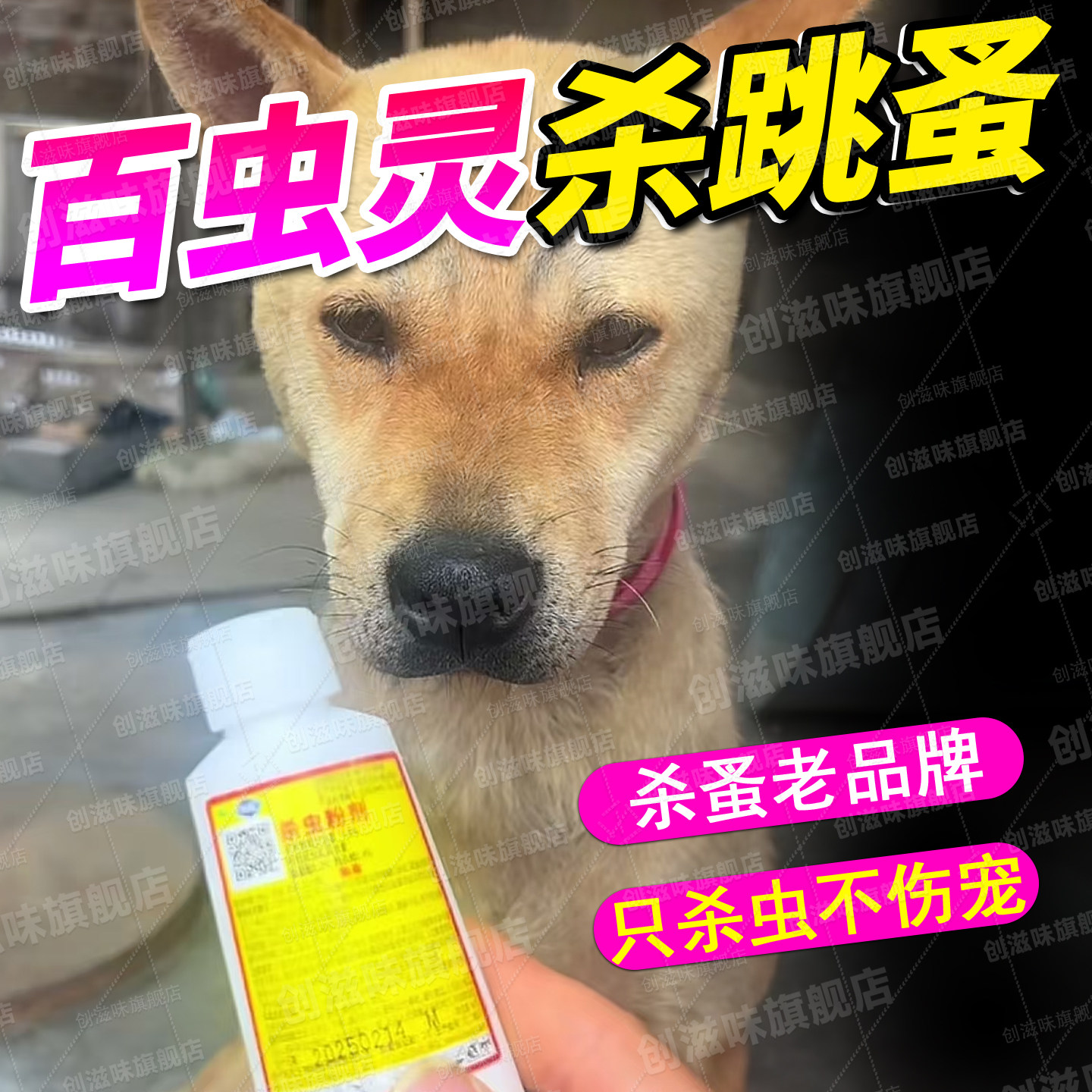 老牌子百虫灵杀跳蚤家用图片