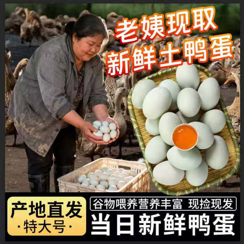 新鲜土鸭蛋现捡现发产地直发