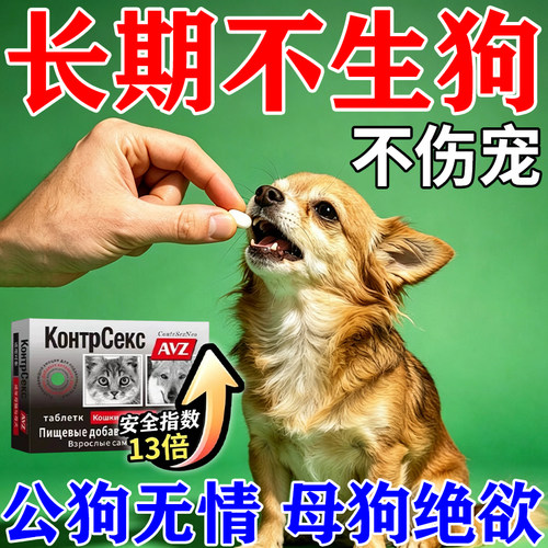 狗狗防止交配怀孕紧母狗母猫后急抑情片母猫绝土狗宠物育效长事避