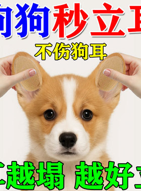 小狗立耳神器狗狗立耳贴德牧犬西高地雪纳瑞立耳辅助器耳朵固定JY