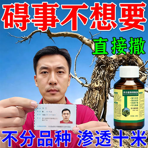 强力渗透腐烛木 可枯 可腐 可烂 自然 掉叶 掉皮植物抑制液
