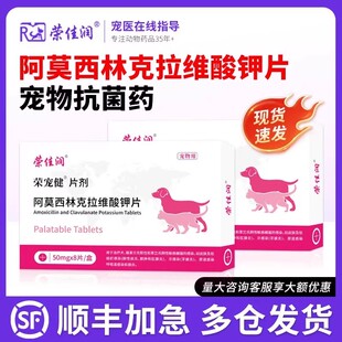 阿莫西林克拉维酸钾猫咪宠物狗狗打喷嚏感冒咳嗽消炎片速猫鼻支诺