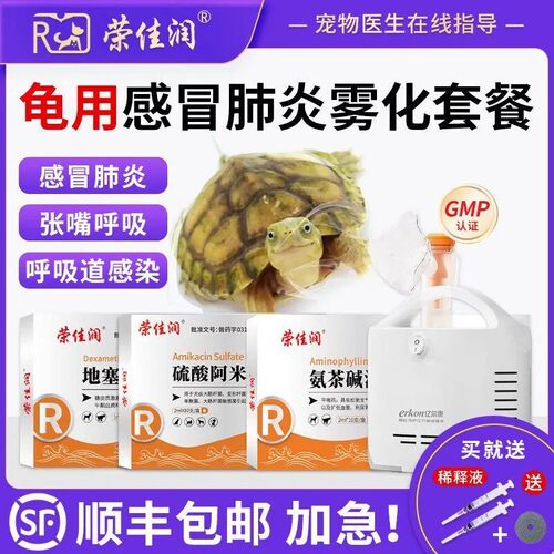 乌龟肺炎张嘴呼吸雾化套餐顺丰发