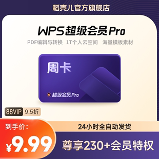 PPT模板海报 WPS超级会员Pro套餐周卡7天pdf转word排版 官方正版