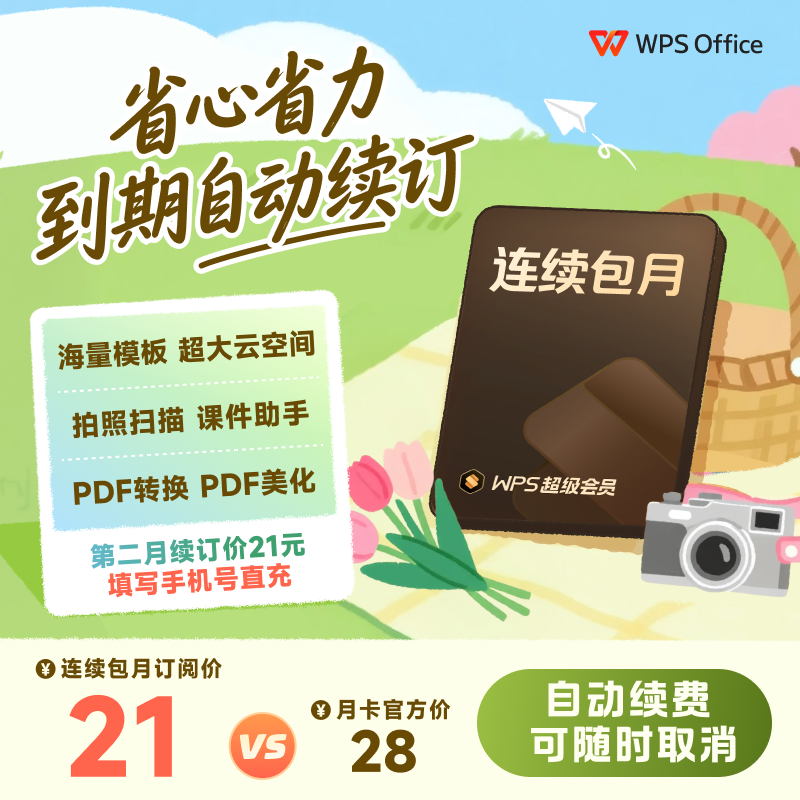 WPS超级会员月卡连续包月  office论文word排版修改pdf转word翻译 - 实物图