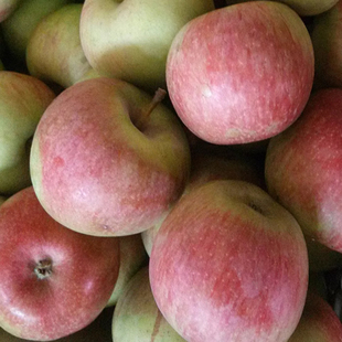 东北小国光苹果酸甜脆新鲜苹果 水果正宗老式国光绿色国光5斤包邮