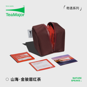 鲜叶说袋泡茶特级金骏眉红茶冷泡茶叶蜜香型正宗小袋装三角茶包