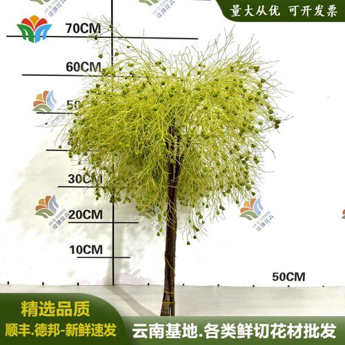 柔丝鲜花婚庆婚礼鲜花网红花材