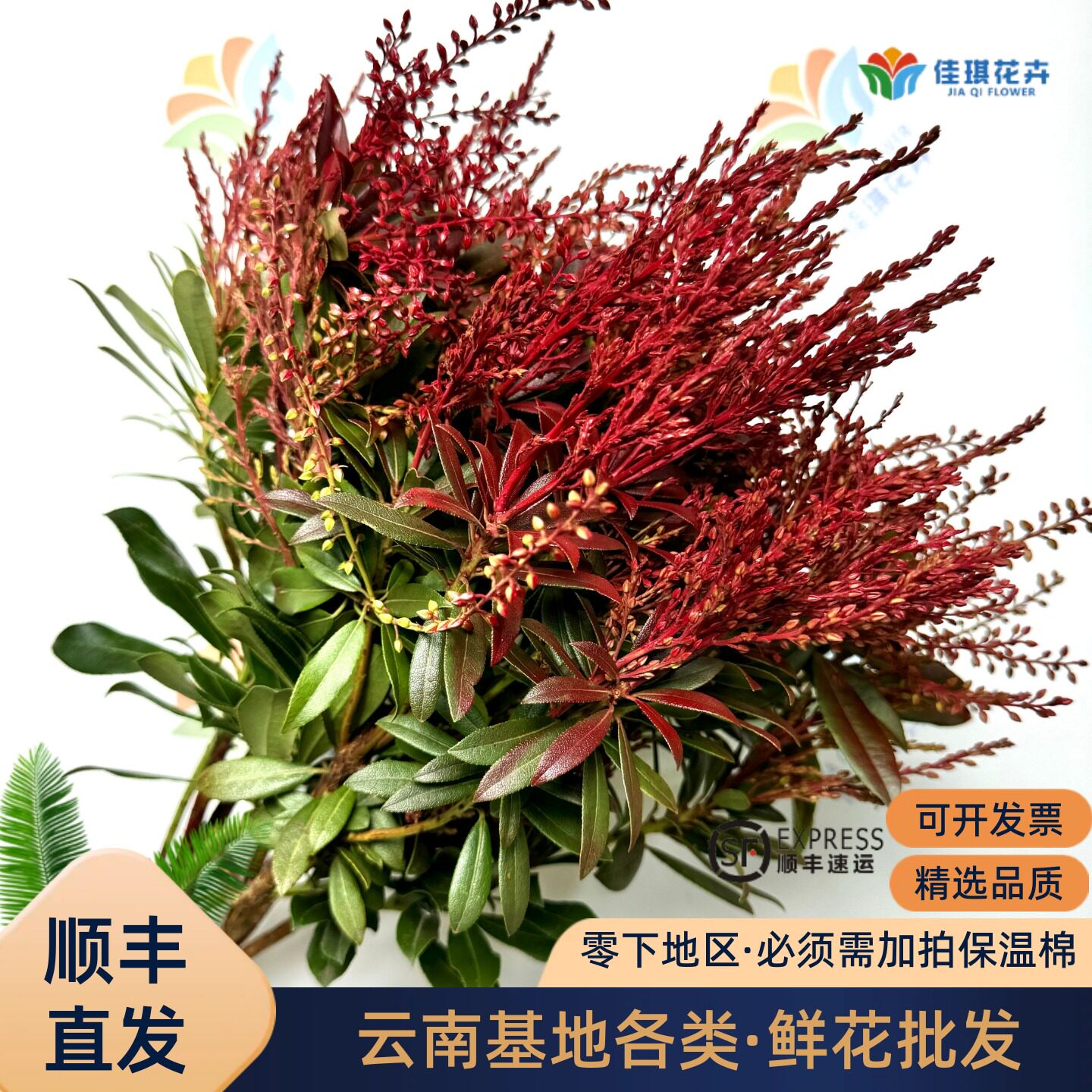 山里红鲜花云南昆明基地直发婚庆花材活动布置婚车装饰花鲜切花
