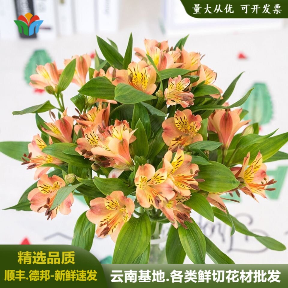 云南直发水仙百合鲜花束图片