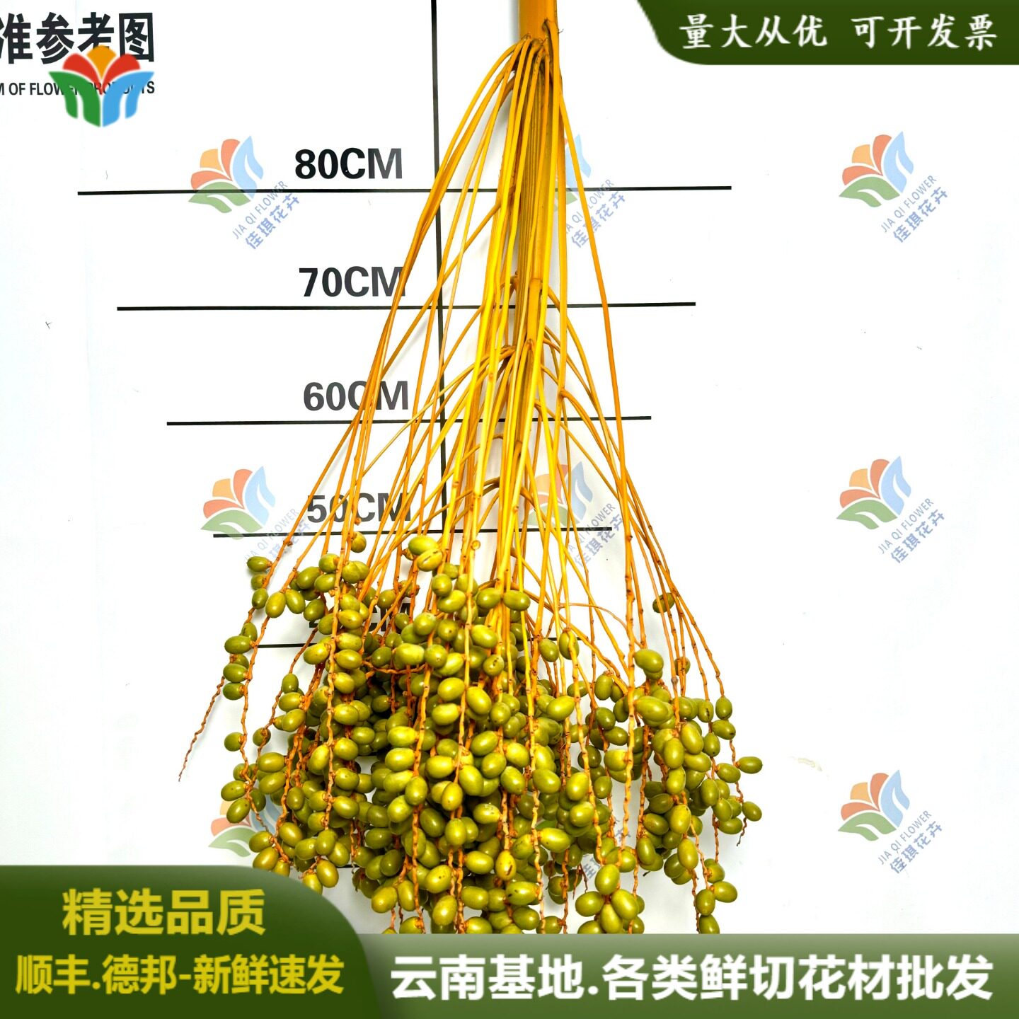 新鲜槟榔果鲜花棕榈果鲜切枝条可做干花婚庆婚礼活动布置小众花材