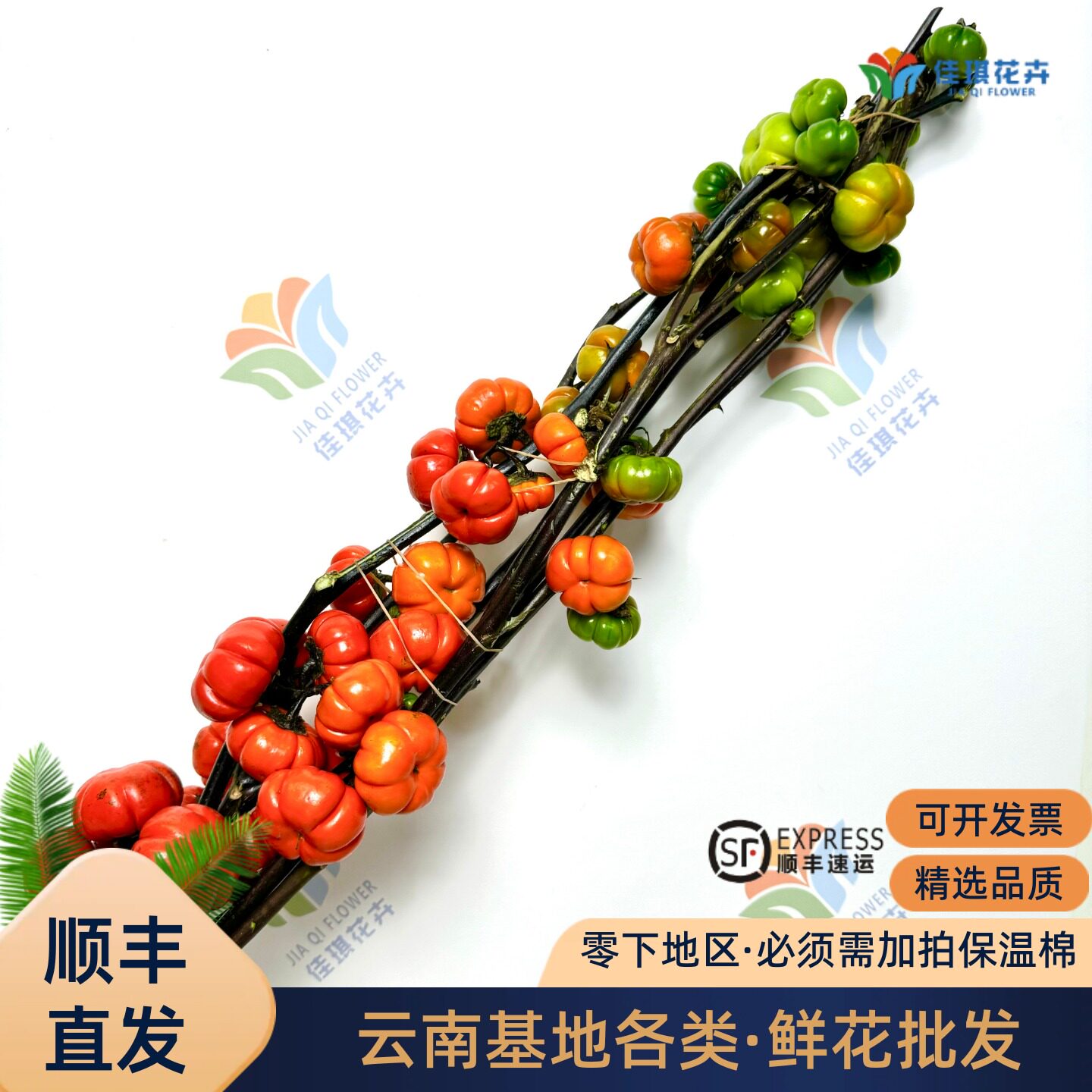 新鲜小南瓜鲜切枝小番茄云南直发长寿果鲜花水养插花个性果实花卉