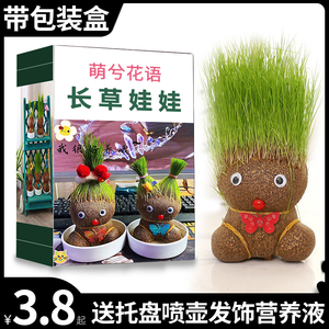 草头娃娃创意小盆栽桌面可爱水培植物趣味长草娃娃幼儿园儿童绿植