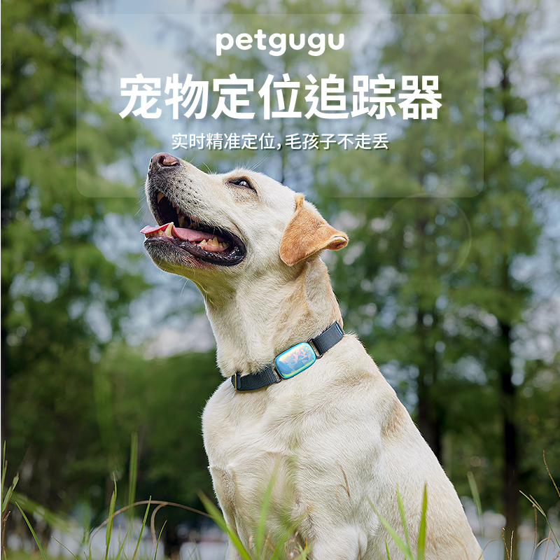 petgugu宠咕咕宠物定位器 GPS猫咪狗狗定位追踪器 防丢器网络定位