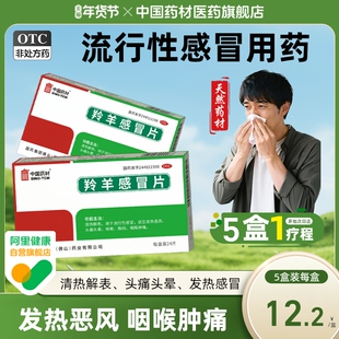 中国药材德众羚羊感冒片24片咽喉肿痛清热解表流行性感冒头痛头晕