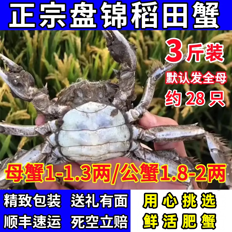【3斤装】盘锦河蟹稻田蟹螃蟹鲜活1-2两公母肥蟹大闸蟹顺丰礼盒