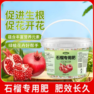 石榴专用肥盆栽营养液石榴专用肥料催花结果坐果灵植物家庭园艺