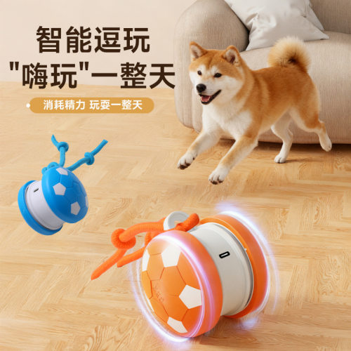 2026新款逗猫狗玩具电动