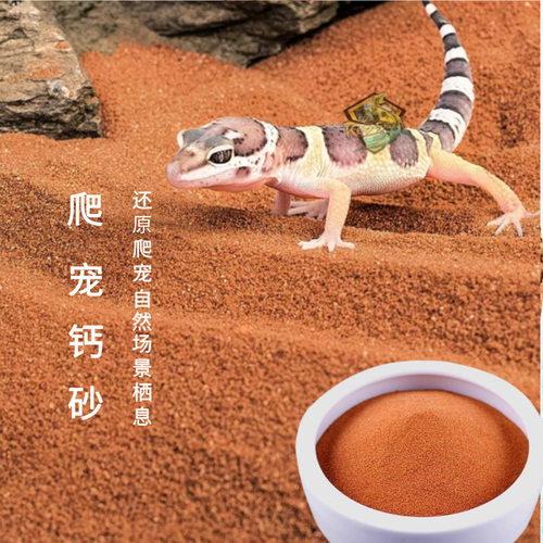 钙砂爬虫沙宠物垫材鬃狮