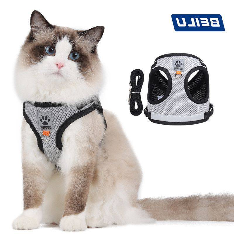 跨境猫咪牵引绳背心式狗狗胸背带