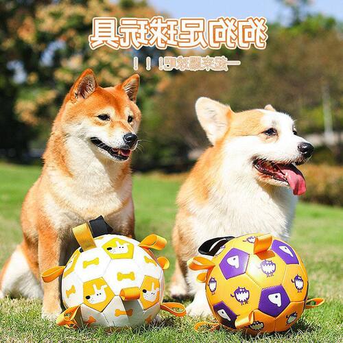 宠物玩具球狗狗户外宠物玩具发声