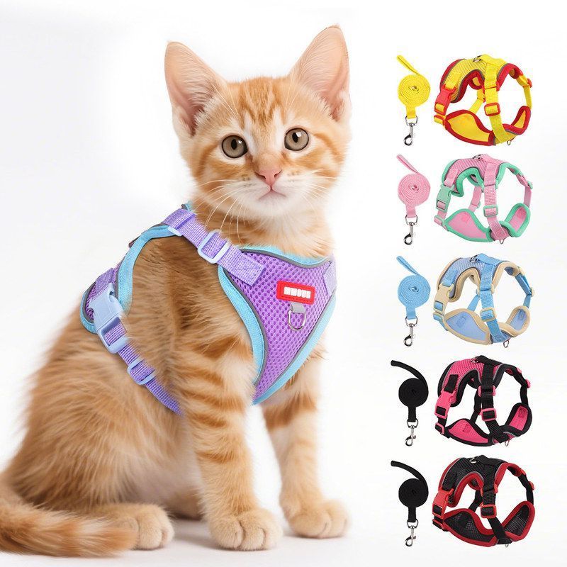 夏季新款猫咪牵引绳宠物胸背带
