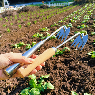 拔草除草神器不锈钢取根松土加厚结实家用菜园拔菜锄大小草工具