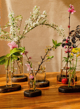 试管花瓶家居插花创意花瓶桌面水培花瓶木质底座ins风玻璃插花器