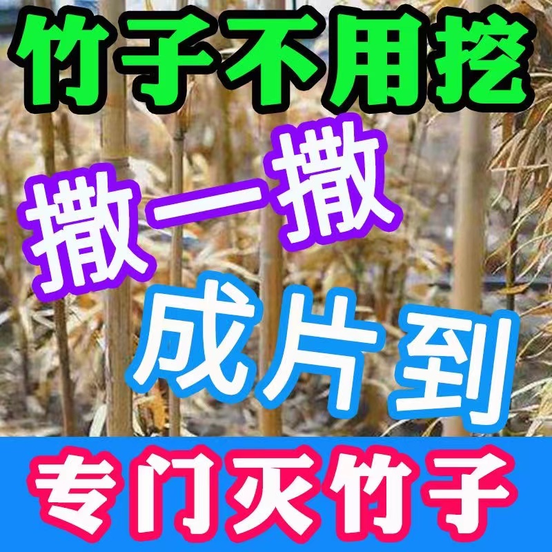 灭竹子专用强力灭竹粉除竹剂连根烂杀草烂竹根大竹杂竹高浓度杀竹