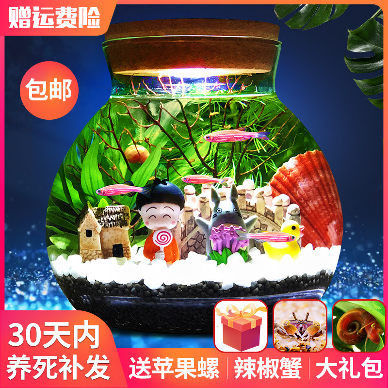生态瓶微景观水族箱造景斗鱼缸创意缸办公桌面书桌客厅观赏玻璃缸,宠物/宠物食品及用品,生态瓶/创意缸/微景缸,淘宝优惠券,粉丝福利购,淘宝优惠卷