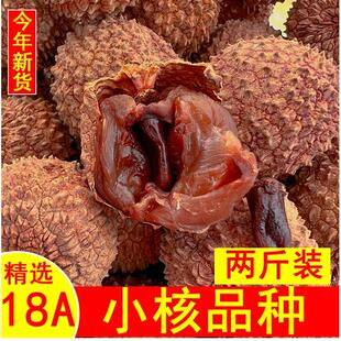 18A荔枝干桂味特级核小肉厚2023新货高州生晒袋装特产包邮两斤装