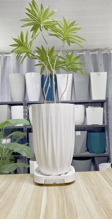 北欧风竖条纹树脂花盆特大号客厅落地天堂鸟散尾葵绿植专用花盆