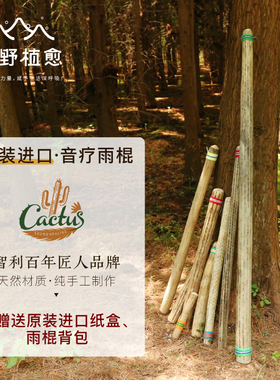仙人掌雨棍疗愈南美智利进口卡杜斯雨棍棒海浪拟声音解压音疗乐器