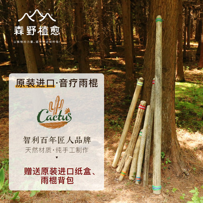 南美智利进口仙人掌雨棍卡杜斯