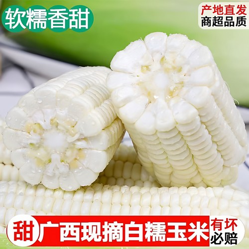 广西新鲜白甜糯玉米农家自种