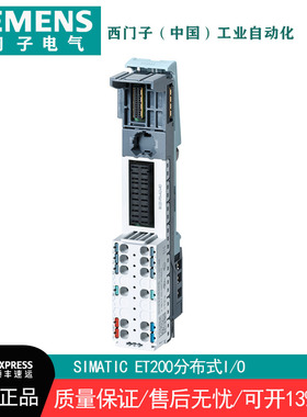 ET200SP IO模块6ES7 193-6BP00-0BA0 0DA0 6BP20/40/60 0DC0 0BA1