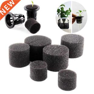 50pcs Black Hydroponic Baskets Sponge Garden Vegetable Soill