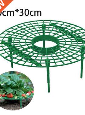 Strawberry Plant Stand Frame Holder Balcony Planting Rack Fr