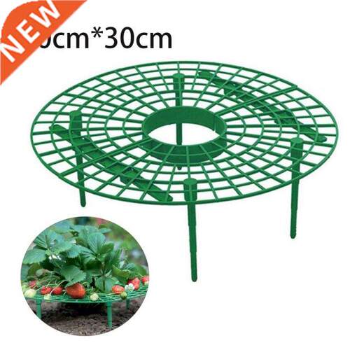 Strawberry Plant Stand Frame Holder Balcony Planting Rack Fr