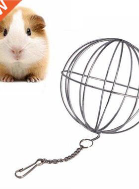 Pets Grass Feeding Ball Stainless Steel Electroplated Round